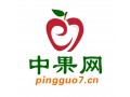 蘋果走貨不快  行情分化明顯 ()