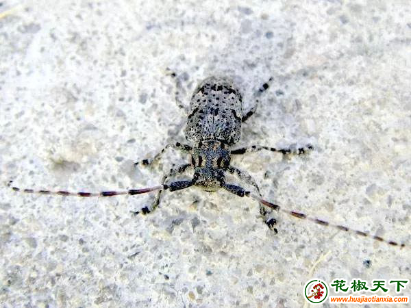 图片7