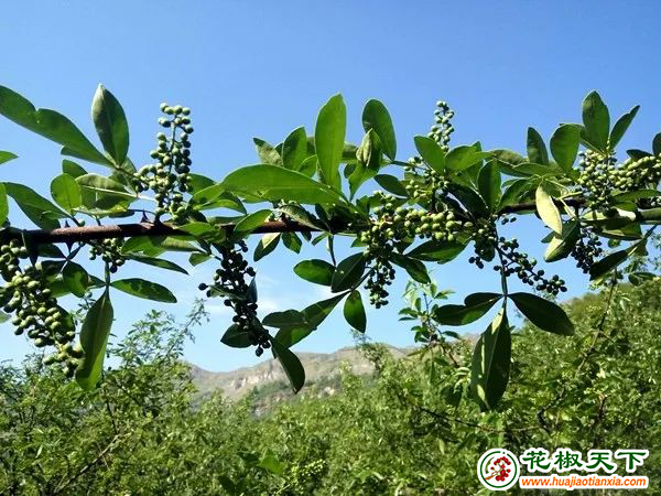 图片4