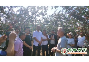 经济林专家王华田教授指导天水市花椒产业生产 ()