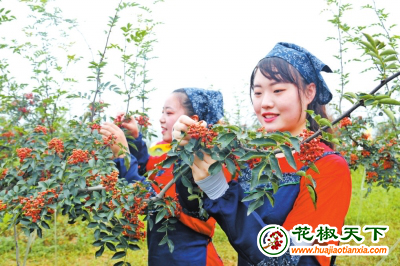 图片1