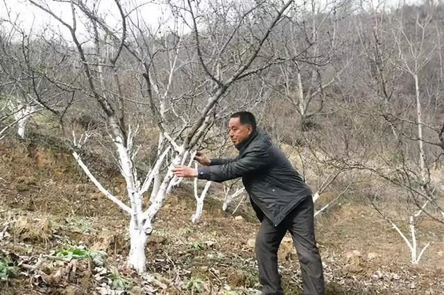 图片3