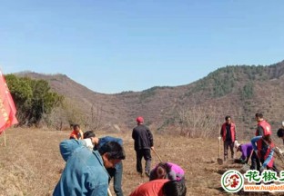 陕西凤县：“花”下真功夫  “椒”出致富答卷 ()