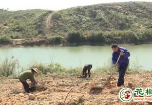 湖南汉寿县：种植花椒，增加农民收入 ()