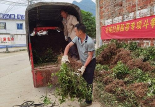 河池宜州花椒 致富大产业 ()