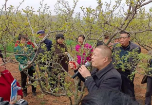 陕西赤沙：举办花椒高产培训会 ()