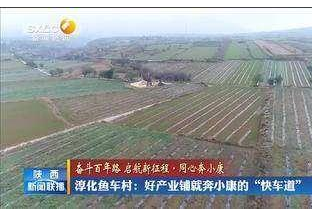 陕西淳化：小花椒助推乡村迈上致富“快车道” ()