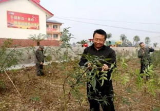 贵州板场：组织花椒技术培训 促进群众增收 ()