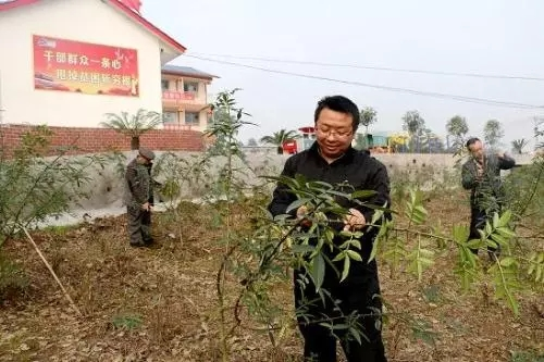 图片5
