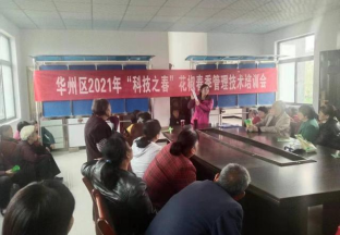 陕西华州区：结合农时 开展花椒技术培训 ()