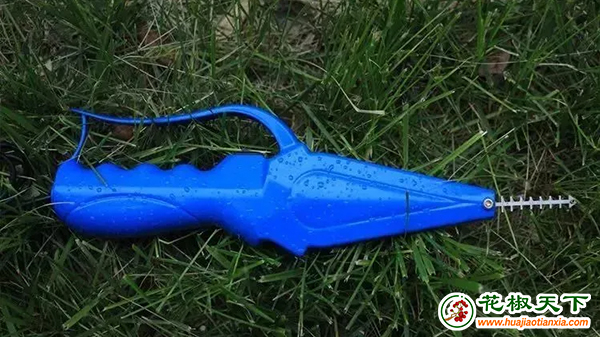 图片3