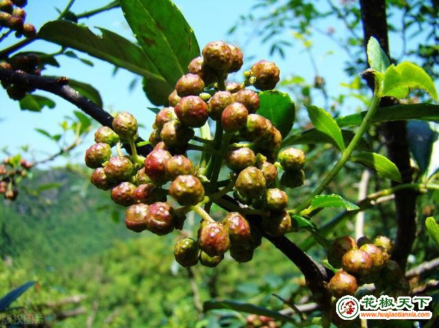 下载 (1)