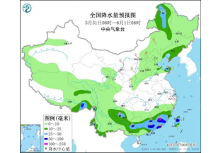 北方遇大风降温天气  花椒果实面临吹落风险 ()