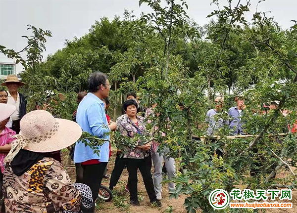 图片1