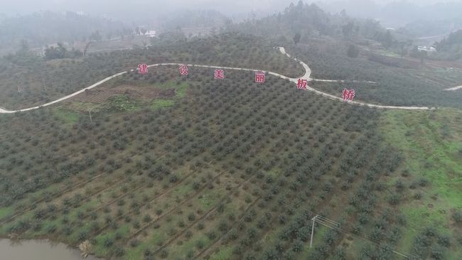 图片2