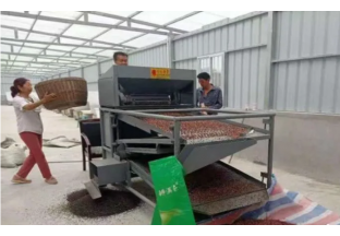 陕西凤县：花椒加工厂  打造新模式 ()