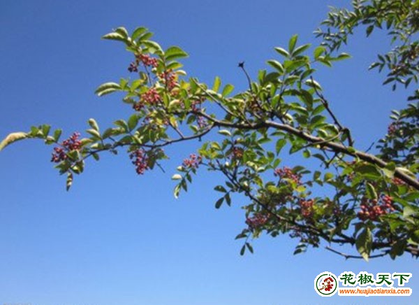 图31