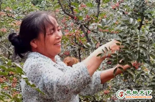 图片12