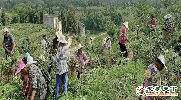 图片122