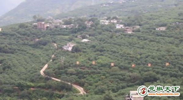 图片12
