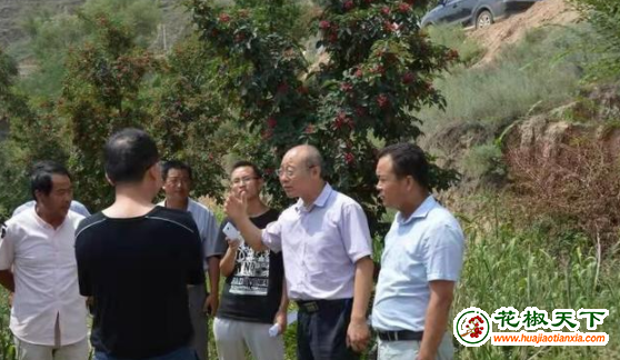图片1