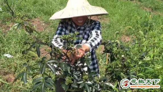 图片2