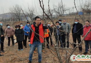 河南渑池：实地培训花椒修剪技术效果好 ()