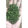 本人大量供应九叶青花椒