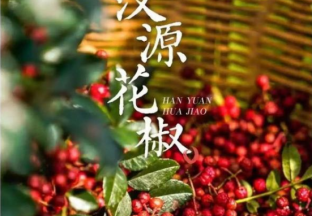 汉源花椒：品牌创建 声名远播 ()