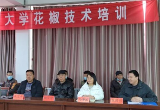 凤县：政府送花椒园管理技术下乡 ()
