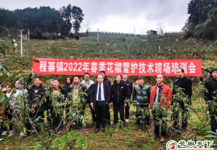 贵州习水县：花椒管护技术送上门 ()