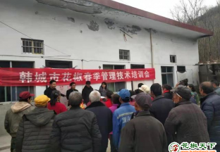 韩城：花椒种植技术送下乡 ()