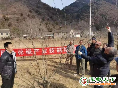 图片1