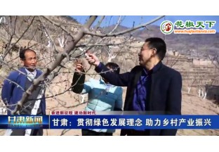 甘肃：花椒产业不断壮大 助力乡村产业振兴 ()
