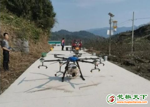 图片1