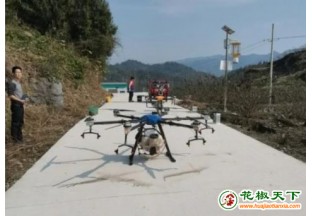 贵州思南县：无人机推动花椒种植科技化 ()