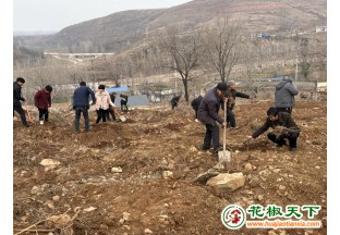 河南宝丰：花椒种植 助力乡村振兴 ()