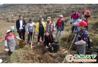 贵州息烽：田间课堂为花椒产业充电蓄能 ()
