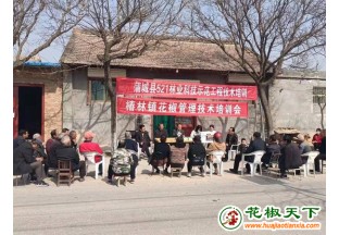 陕西蒲城：开展花椒技术管理培训会 ()