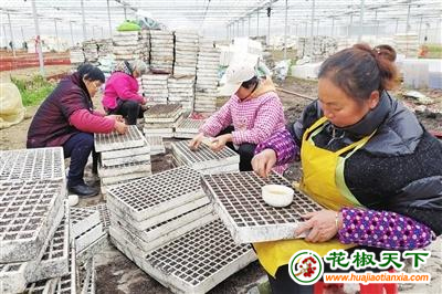 图片3