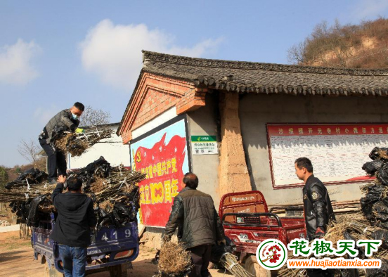 图片2