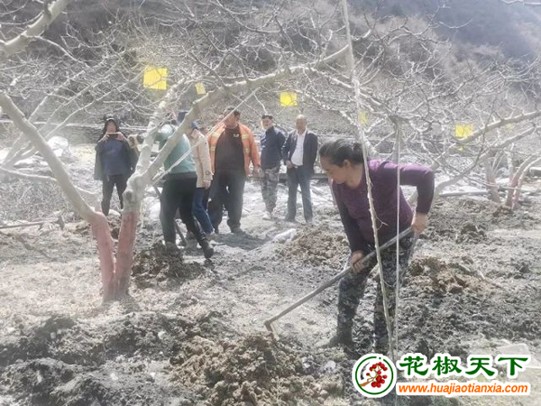 图片2