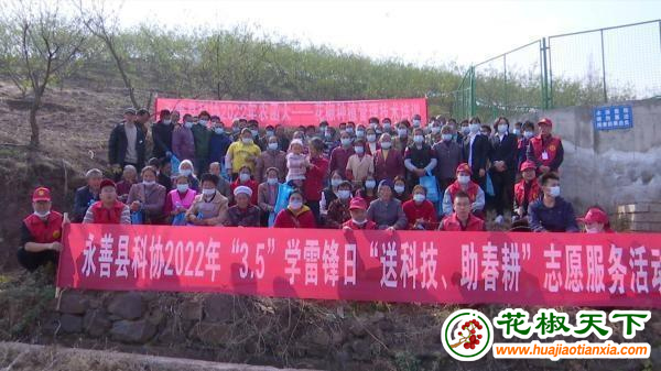 图片4