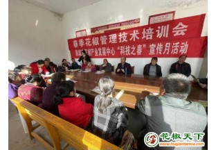 陕西韩城：送科技促发展 花椒培训解民需 ()