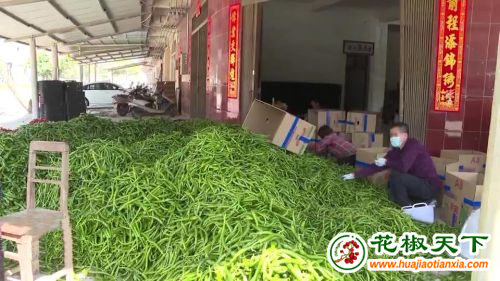 图片3