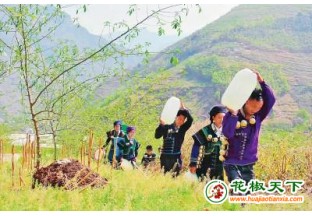 四川金阳花椒施肥正当时 ()
