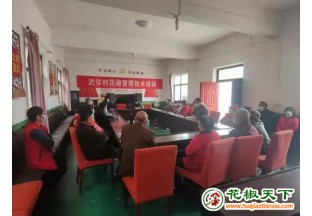 陕西蒲城县开展花椒种植技术培训会 ()