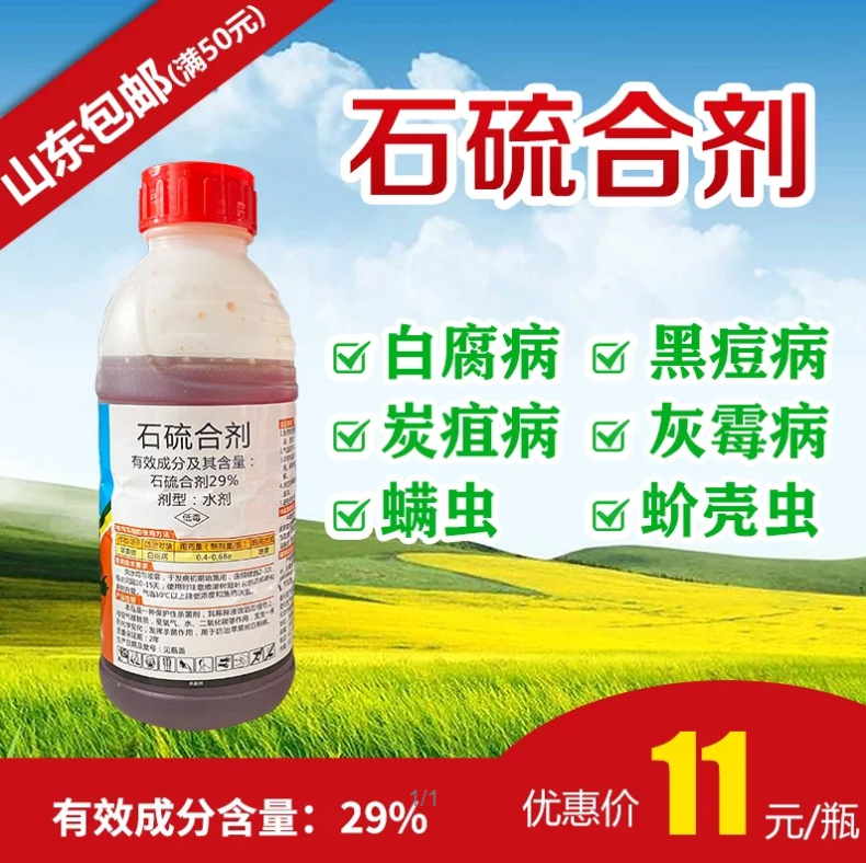 图片6
