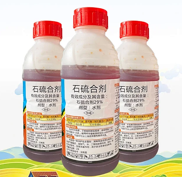 图片3