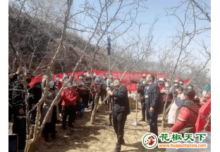 临夏：开展防(霜)冻技术培训 助推花椒产业提质增效 ()